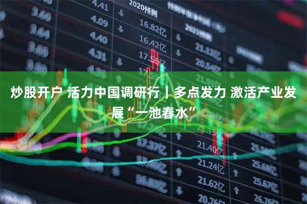 炒股开户 活力中国调研行｜多点发力 激活产业发展“一池春水”