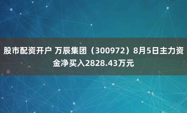 股市配资开户 万辰集团（300972）8月5日主力资金净买入2828.43万元